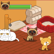Animal Shelter